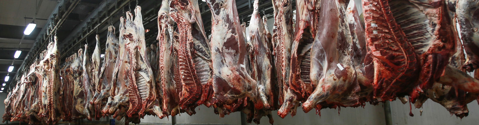 abattoirs-de-Casa-1