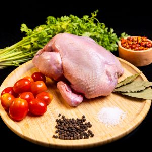 Poulet de Chair